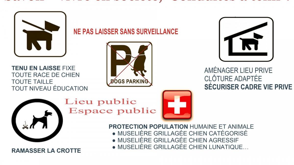 Prevention chiens des villes